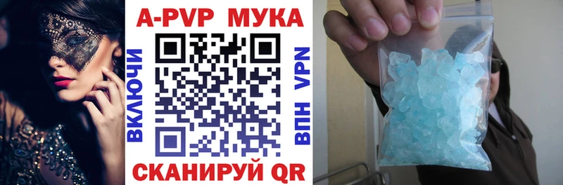 KRAKEN как войти Микунь А ПВП крисы CK