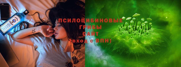 дурь Алзамай