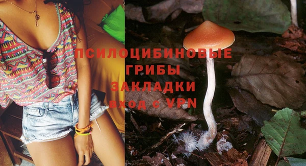 дурь Алзамай